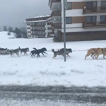 Panorama 34-b Доновалы