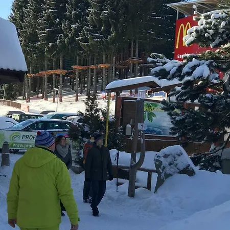 Апартаменты Panorama 34-b Доновалы