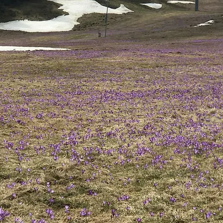 Panorama 34-b Апартаменты *